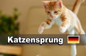 Katzensprung ! | O que significa esta expressão?