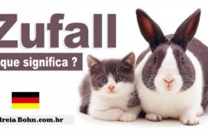 Zufall ! | O que significa esta expressão?