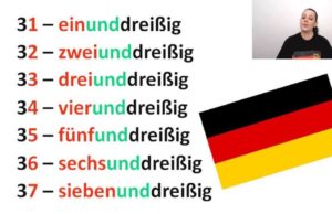 Microaula – Die Zahlen!