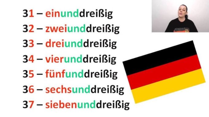 Microaula – Die Zahlen!