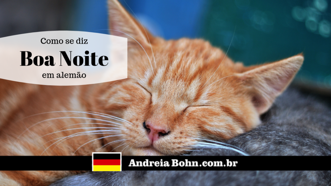 Boa Noite Em Alemão | Como Se Diz | Andreia Bohn -