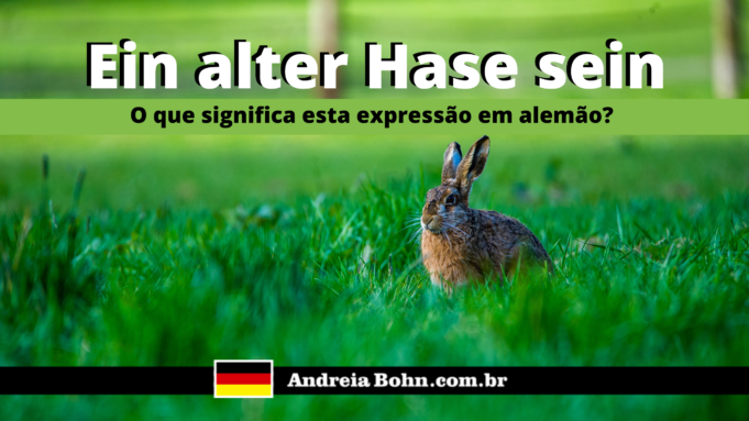 Ein alter Hase sein | O que significa esta expressão em alemão?