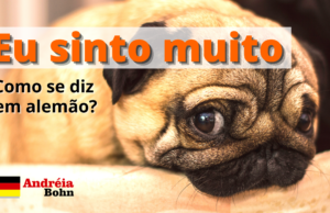 Como se diz EU SINTO MUITO em Alemão | Andréia Bohn