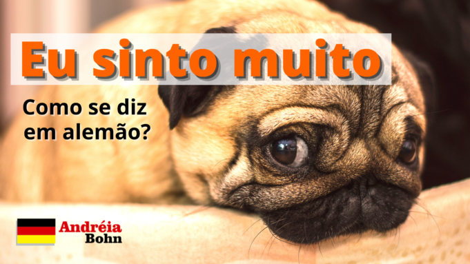 Como se diz EU SINTO MUITO em Alemão | Andréia Bohn