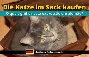 Die Katze im Sack kaufen | O que significa esta expressão em alemão?