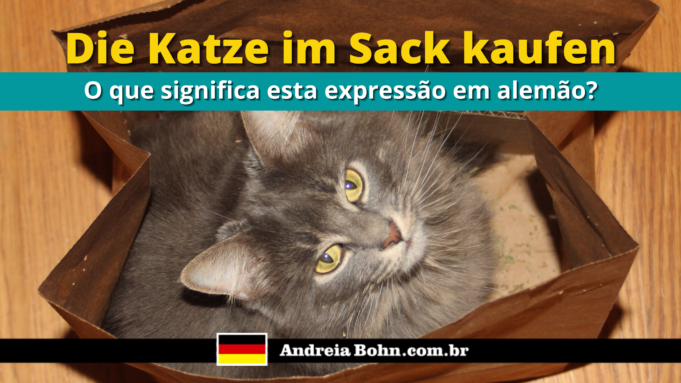 Die Katze im Sack kaufen | O que significa esta expressão em alemão?