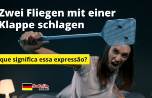 Zwei Fliegen mit einer Klappe schlagen | O que significa esta expressão em alemão?
