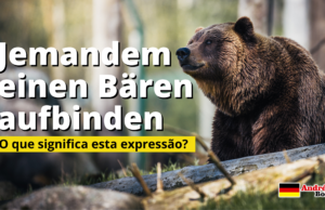 Jemandem einen Bären aufbinden | O que significa esta expressão?