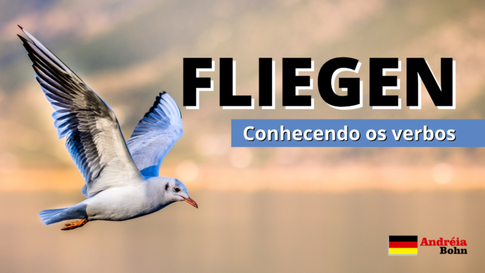 Conhecendo o verbo FLIEGEN | Frases com áudios | Andréia Bohn