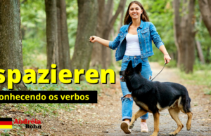 Conhecendo o verbo SPAZIEREN | Frases com áudios | Andréia Bohn